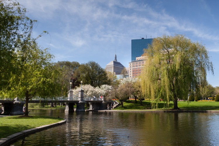 Boston Public Garden One Day Photo Workshop